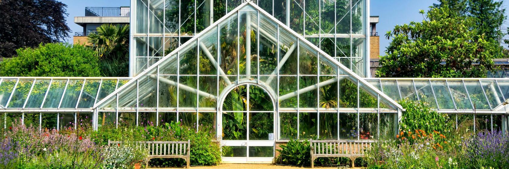 Uniwersytecki Ogród Botaniczny