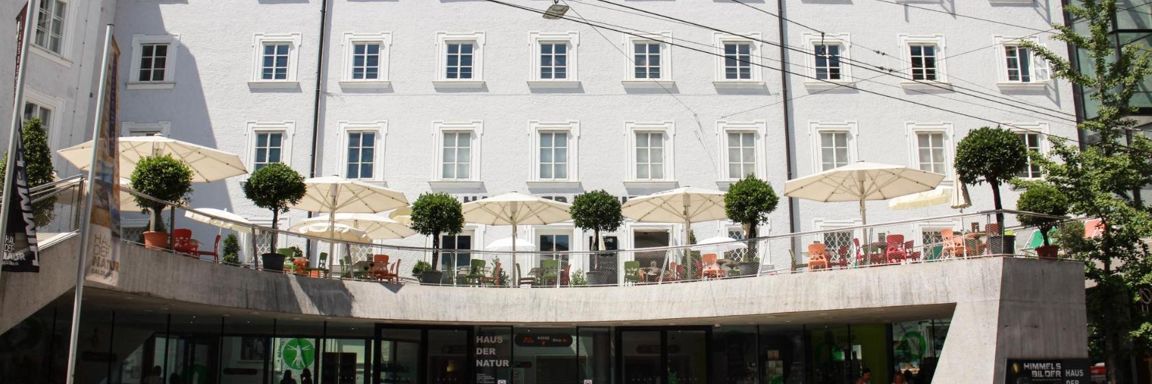 Muzeum Historii Naturalnej