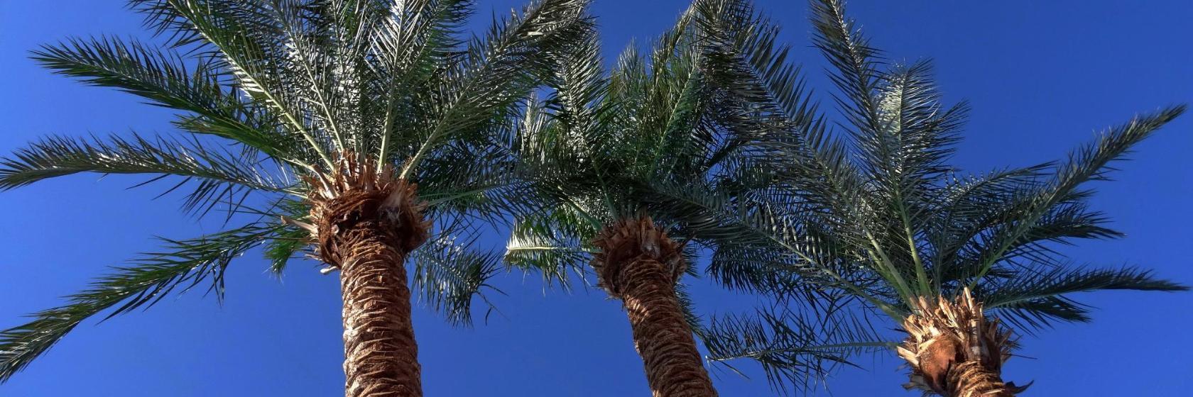 Klub nocny Mega Park