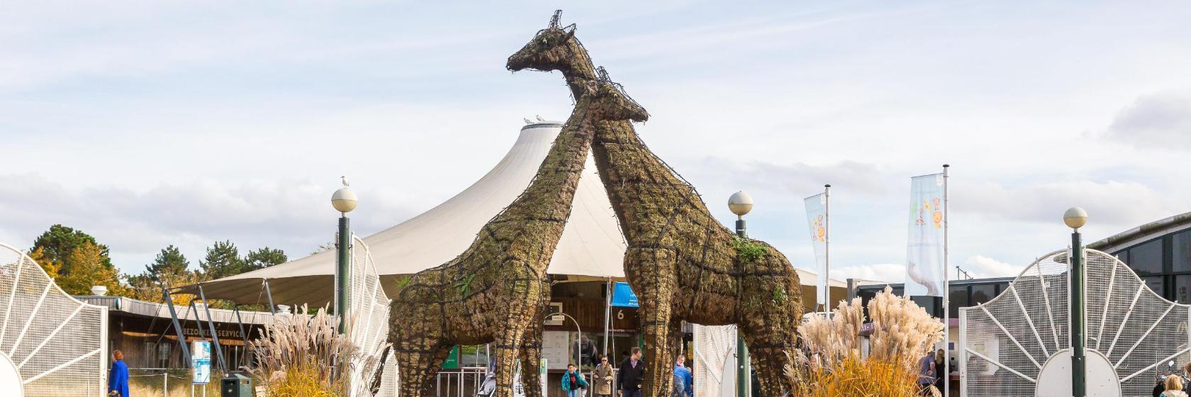 Ogród zoologiczny Blijdorp