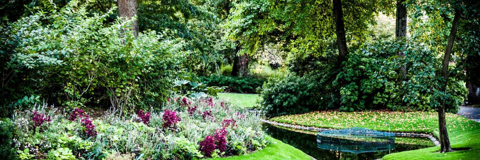 Ogród botaniczny Jardin des Plantes