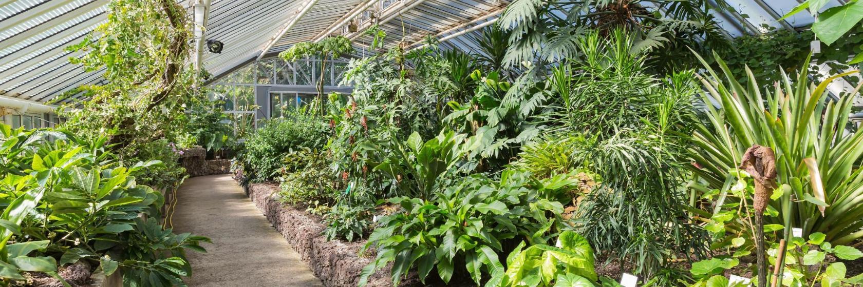 Berliński Ogród Botaniczny