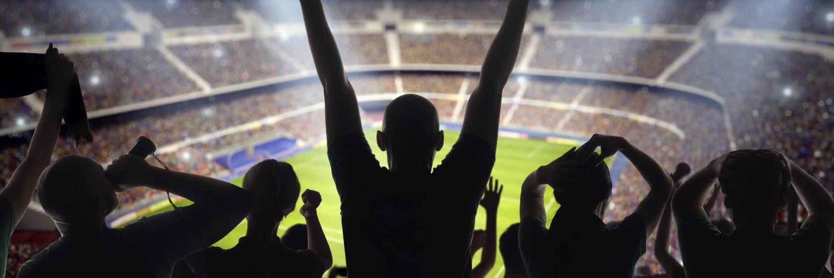 Stadion Groupama Arena