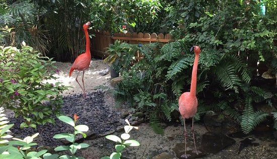 Oranżeria motyli i ptaków Key West Butterfly and Nature Conservatory