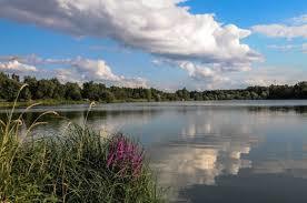 Plaża w Kamieńcu Wrocławskim nad Jeziorem Bajkał