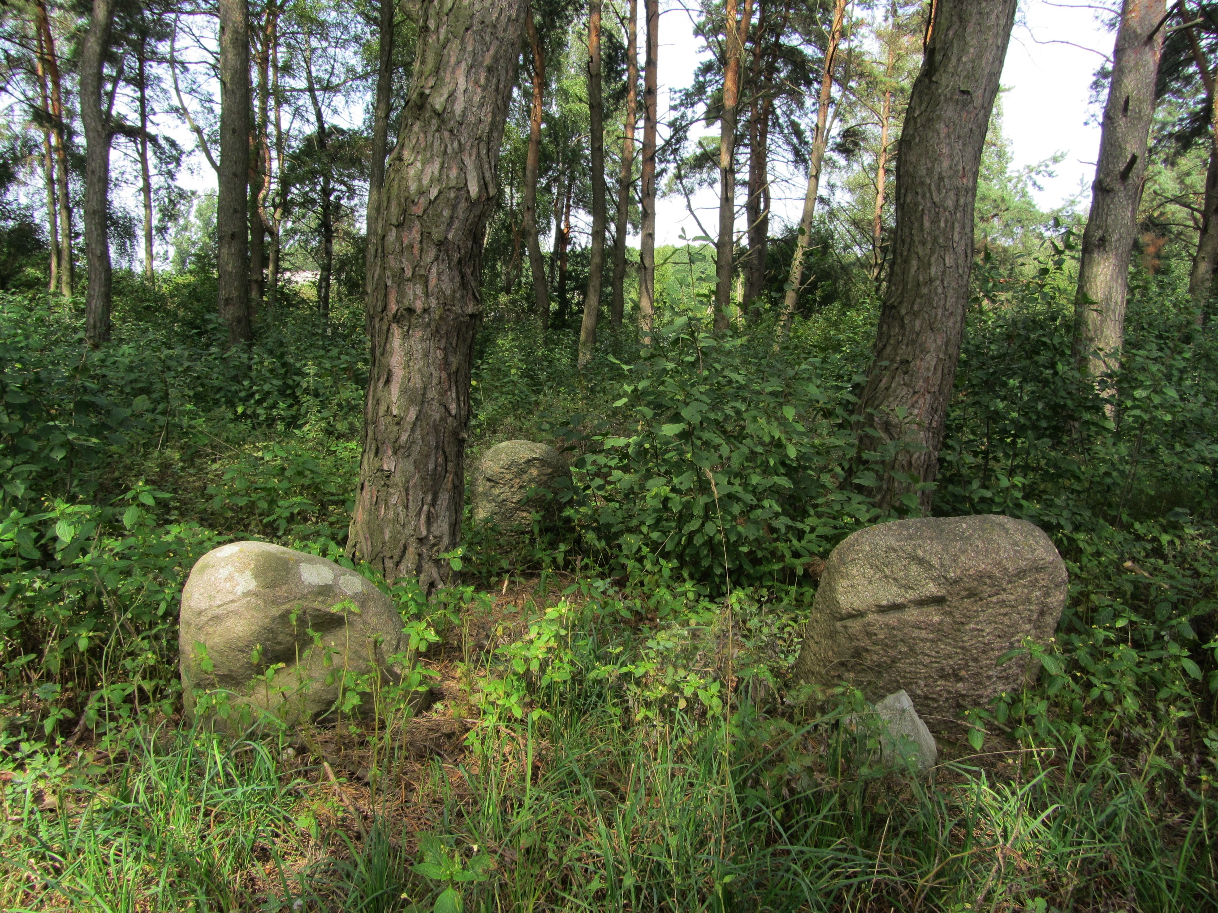 Cmentarz żydowski w Choroszczy
