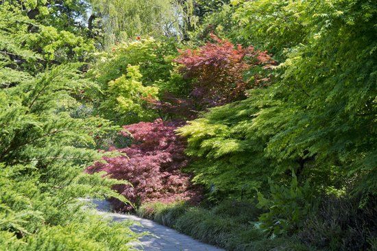 Redakcja i ogrody czasopisma Sunset
