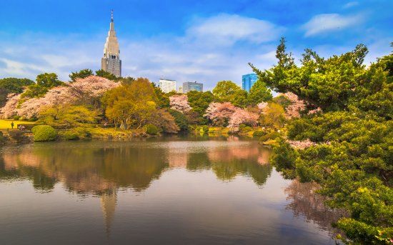Państwowy Ogród Shinjuku Gyoen