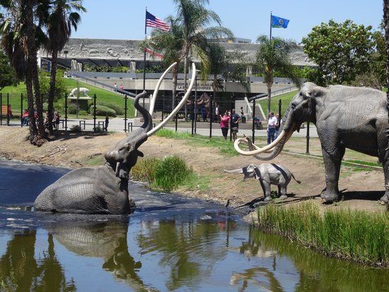 Asfaltowe jeziorka La Brea Tar Pits