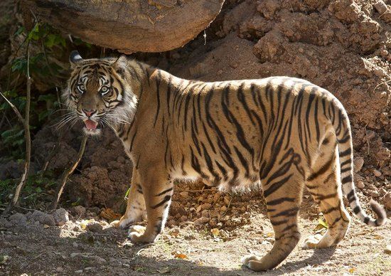 Rezerwat przyrody Fota