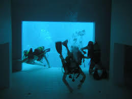Nemo 33