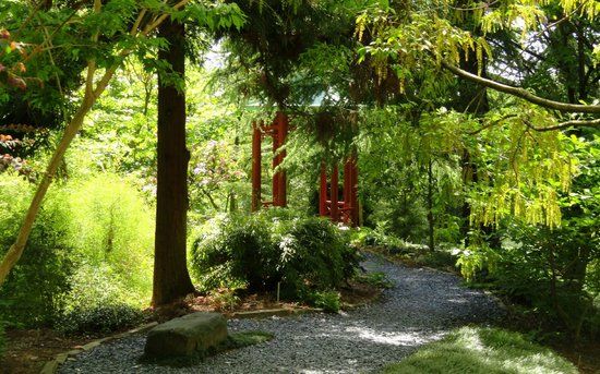 Narodowe Arboretum Stanów Zjednoczonych