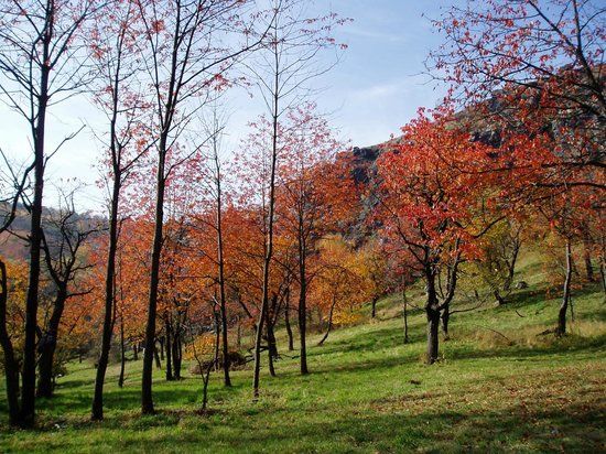 Rezerwat przyrody Divoká Šárka
