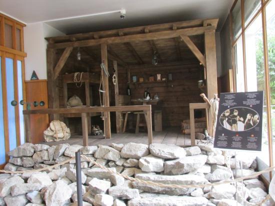 Muzeum Alpejskie w Chamonix