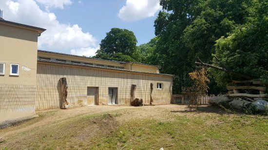 Ogród Zoologiczny we Frankfurcie