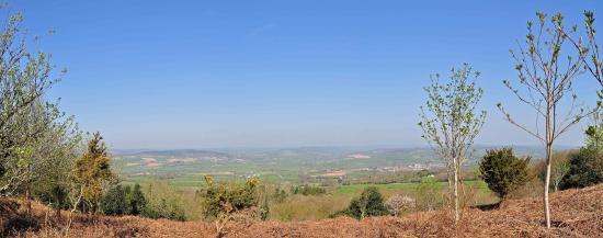 Trinity Hill Local Nature Reserve