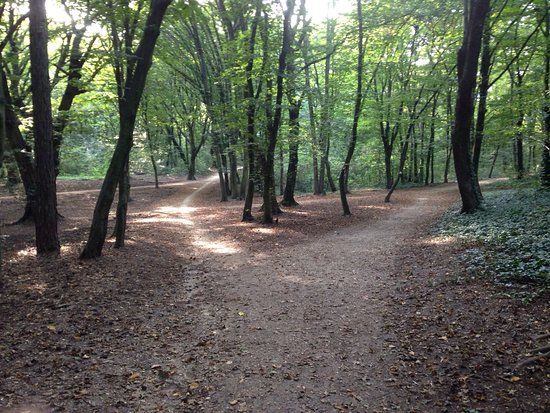 Queen Elisabeth Park