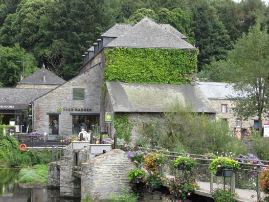 Le Végétarium Café
