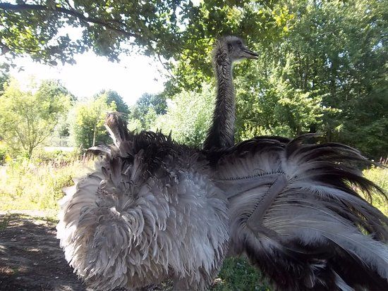 Kinderboerderij Het Weusthag