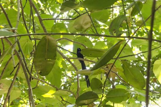 Veuve Nature Reserve