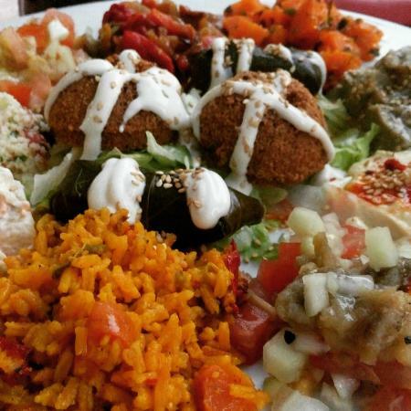 El Paraiso Del Desierto