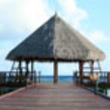 Monsoon Bar and Restaurant